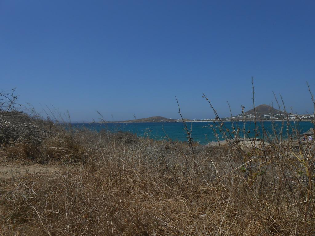 Aparthotel O Fotis Agios Prokopios  Zewnętrze zdjęcie